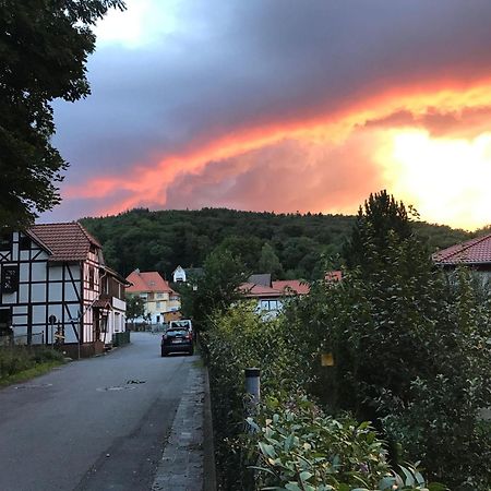 Ferienwohnung-Willgeroth Ilsenburg Zewnętrze zdjęcie