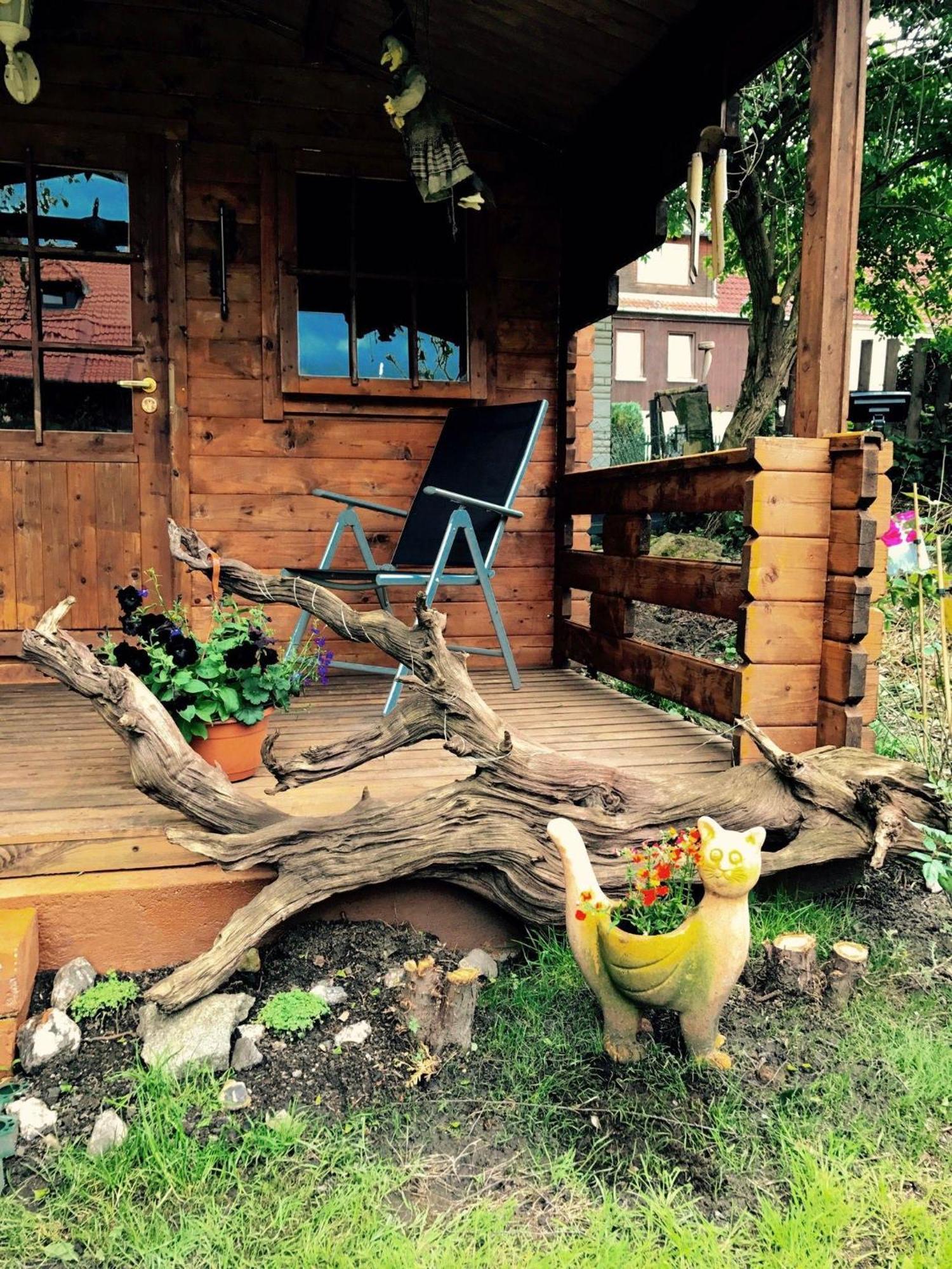 Ferienwohnung-Willgeroth Ilsenburg Zewnętrze zdjęcie